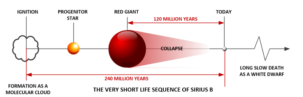 Sirius B has a very short lifespan. It is a youthful star.