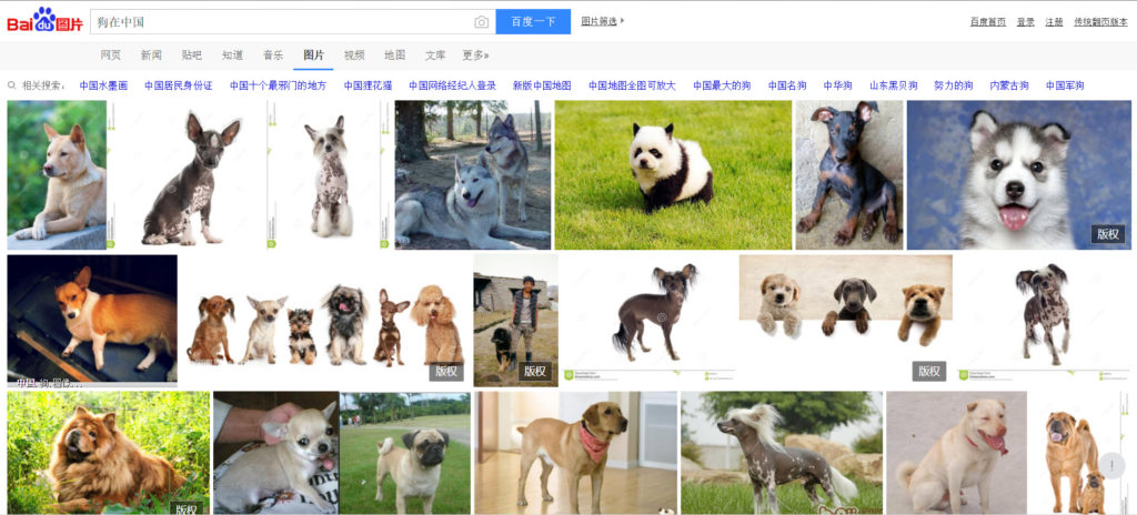 Chinese show non-propigandized search results.