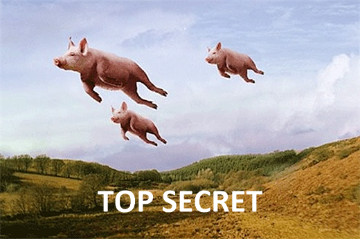 Pretend that there is a a top secret program that concerns the ability for pigs to fly.