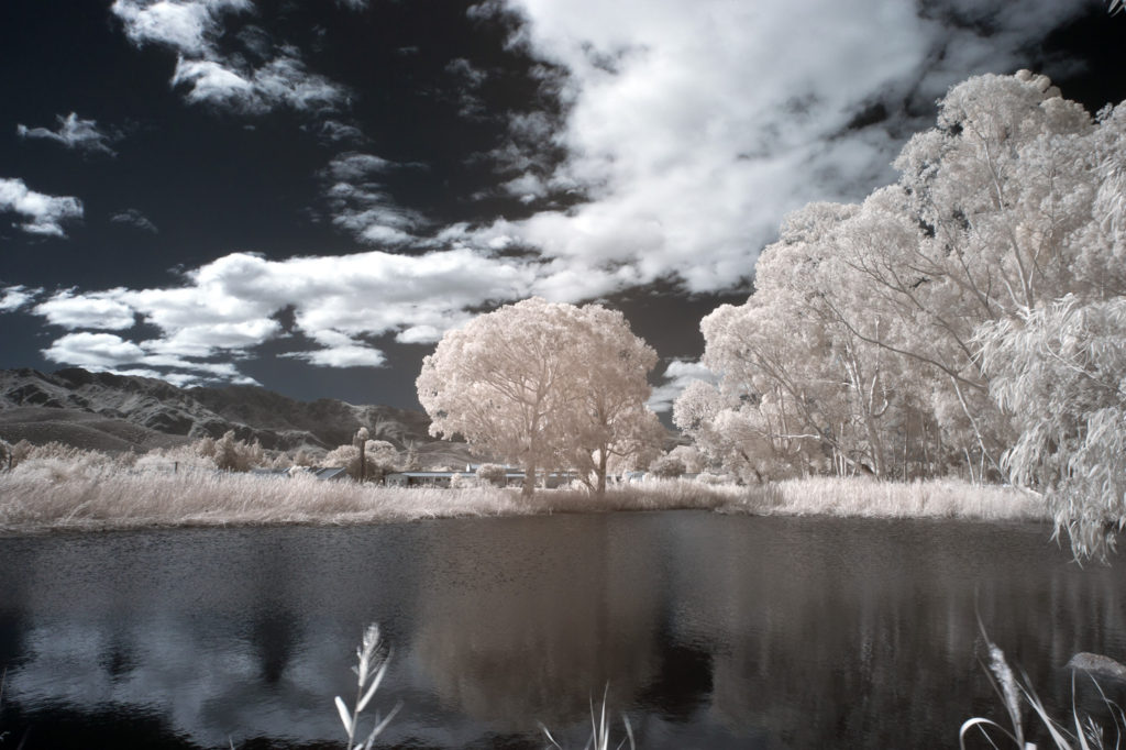View in the IR