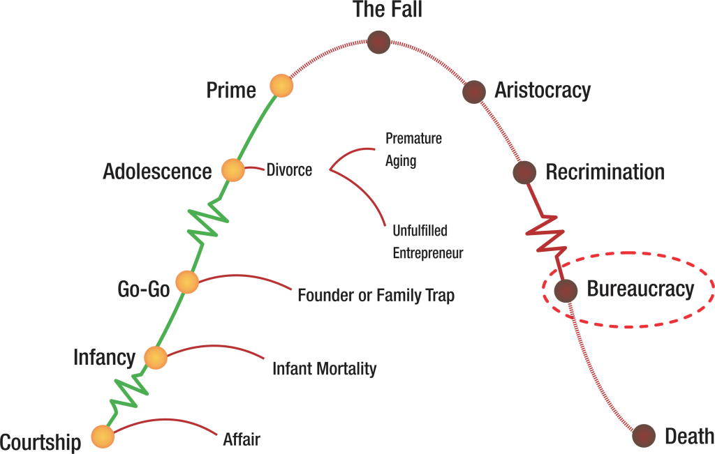 Clife cycle.