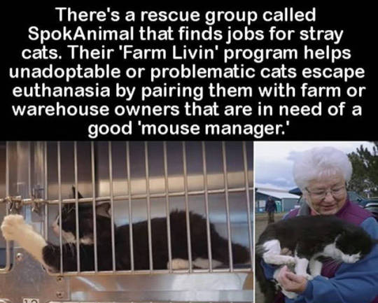 You can help the animals.