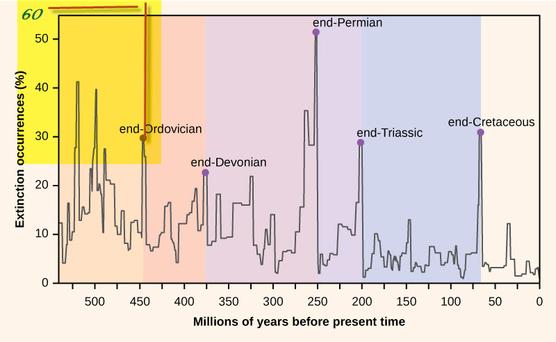 Periodic extinction events