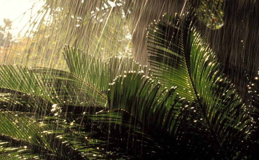 The Long Rain (Full Text) – Ray Bradbury