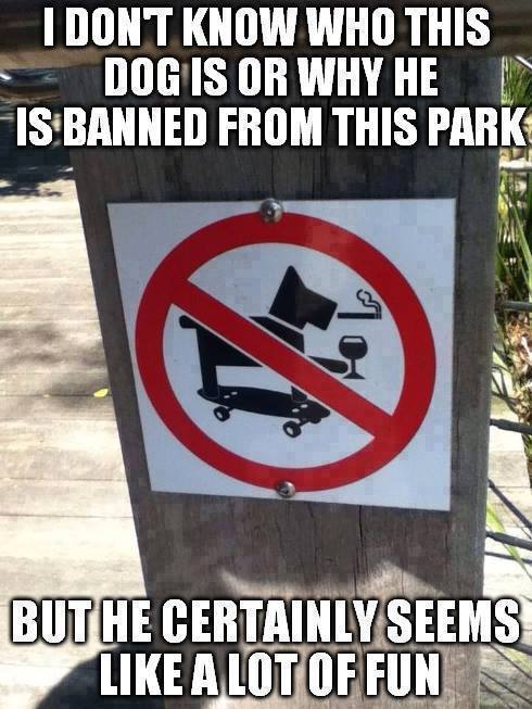 Funny dog sign.