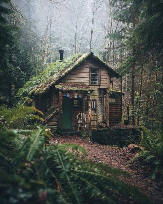 Wood cabin
