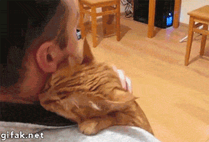 Cat hugs.