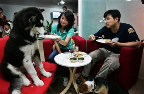 China is very dog friendly.