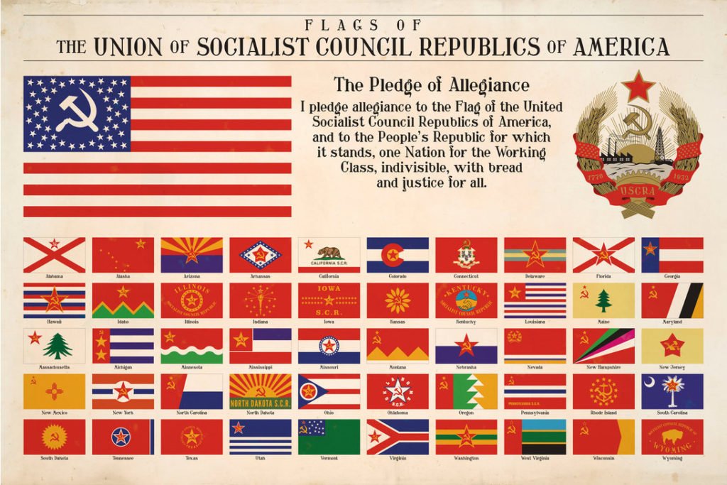 Flag graphic of socialsit organizations internal to the USA.