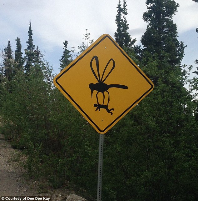 Enormous mosquitoes.