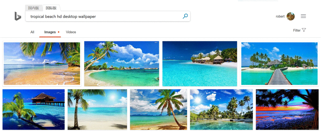 Internet screen splash of HD wallpaper beach pictures.