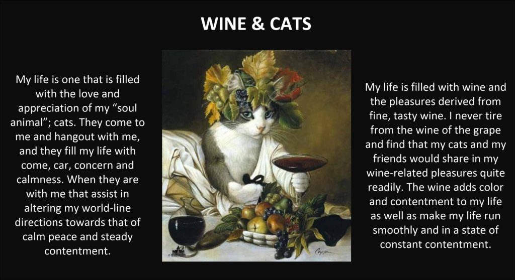 Wine & cats intention splash image for the desktop.