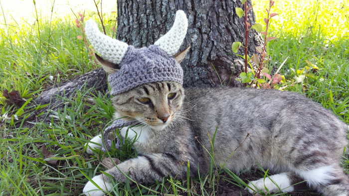Viking Kitty.