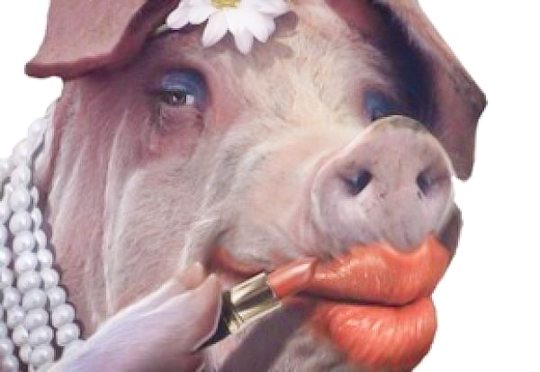 Diversity quotas are like putting lipstick on a pig. It might sound good, it might make the pigs happy, but very few people will actually find the pig beautiful.