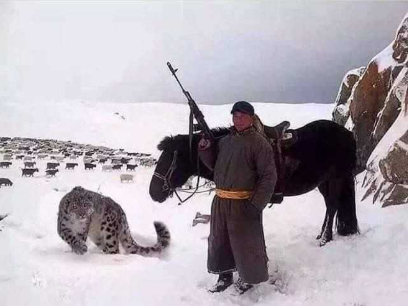 You may be cool, but you'll never be as cool as a Mongolian Shepard with a AK-47 and a pet snow leopard. 