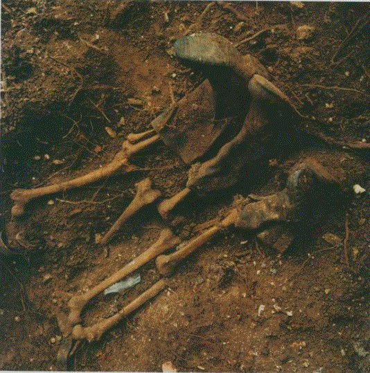 Remains of a Bosnian farmer and his son found at the back of his farmhouse. They were shot and dragged into the back yard bushes together while others could enjoy their home, their kitchen and sleep in their beds.