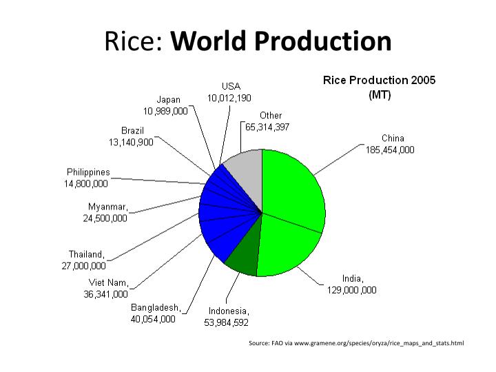 China leads the world in the production of rice.