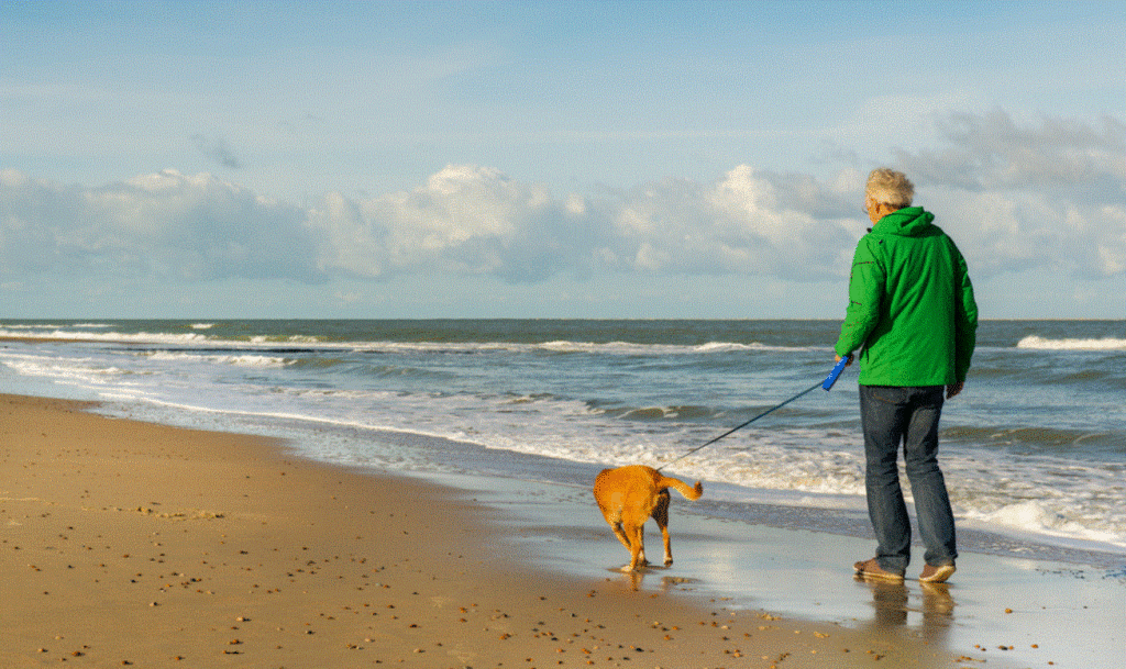 Walking the dog on the beach.