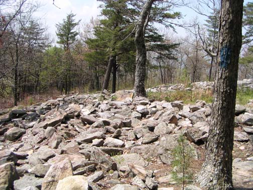 Looking along the fort wall in an westerly direction.  Many of the stones appear to have been knocked over and some areas behind the wall have filled in with earth washed toward the rock wall.