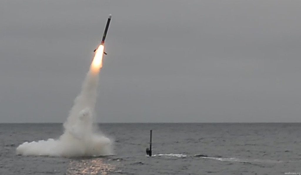 Tomahawk Land Attack Missile ( TLAM ) 