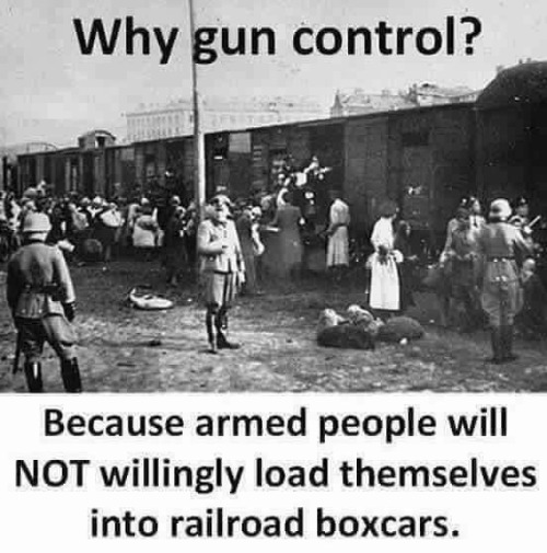 Gun registration and control works. Progressive Marxists clearly recommend it.