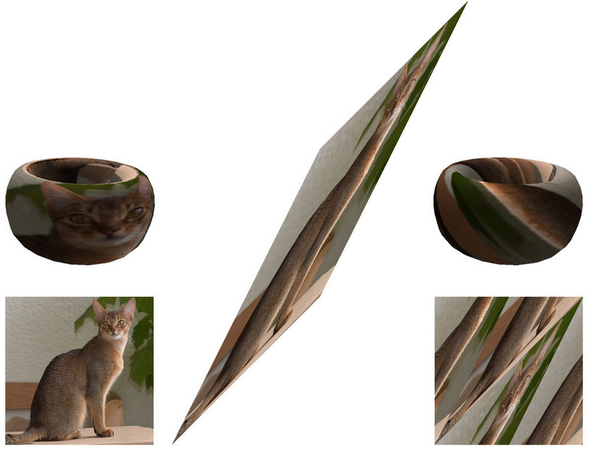 The process in the tortured image manipulation of a kitty-cat.
