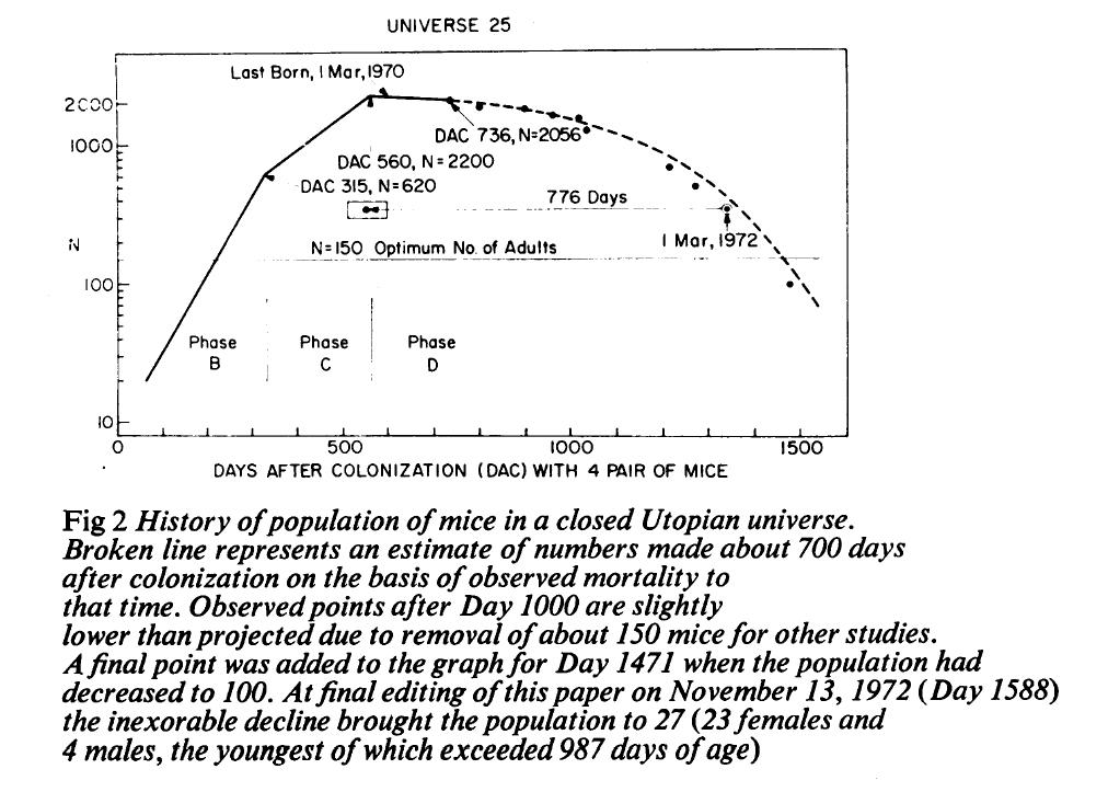 Population rise and fall within the Universe 25 test area.