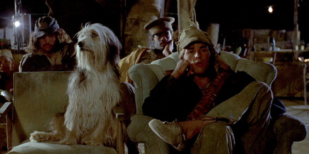  At parts, this movie gets so strange you can't do anything but laugh at it, which is definitely not a bad thing! A Boy and His Dog is not something that will ever be universally popular, but it is a great movie for late nights and all nerds. A classic piece of science fiction. 