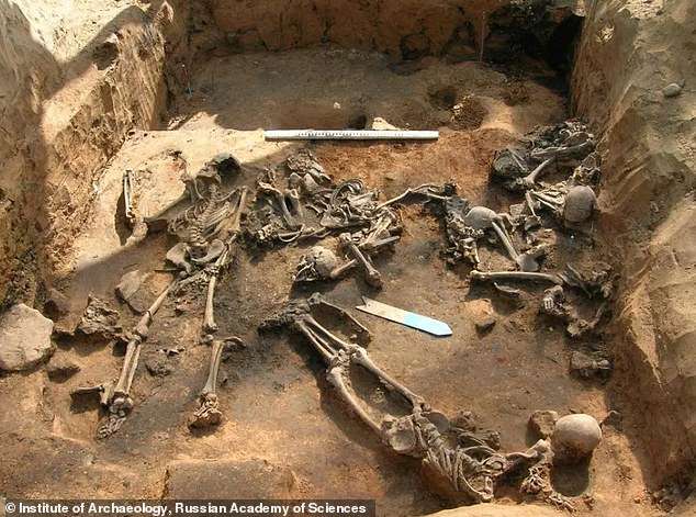 The discovered remains all buried and unearthed for study. It is a horrible and tragic way to die.