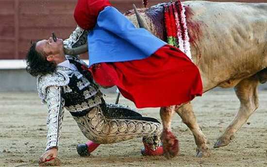 Bullfighter gored by a raging bull.