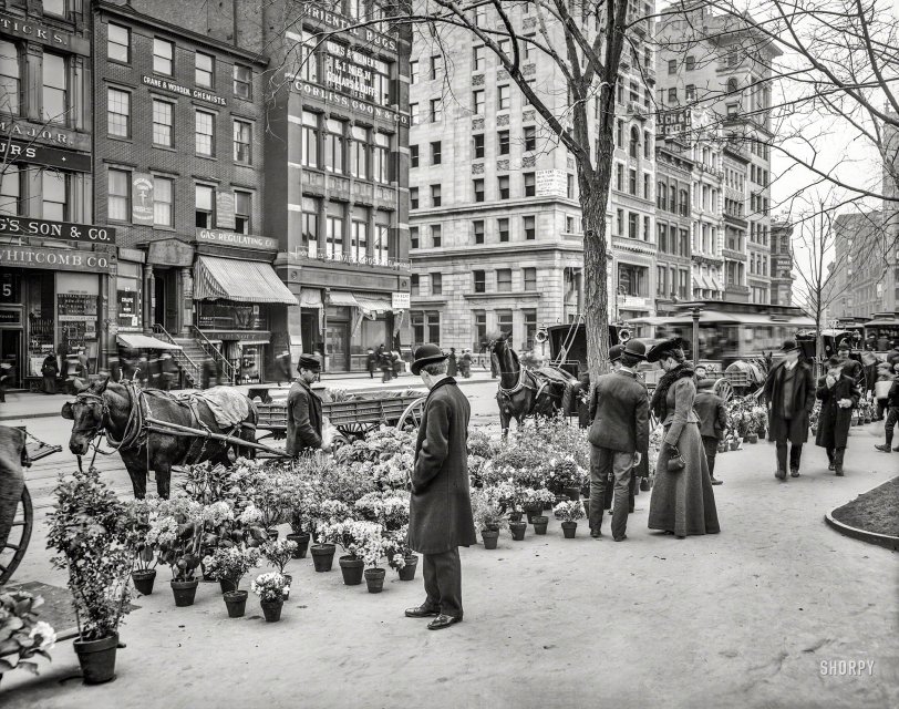 New York, 1904. "A flower vender's Easter display, Union Square." 8x10 inch dry plate glass negative, Detroit Photographic Company. 