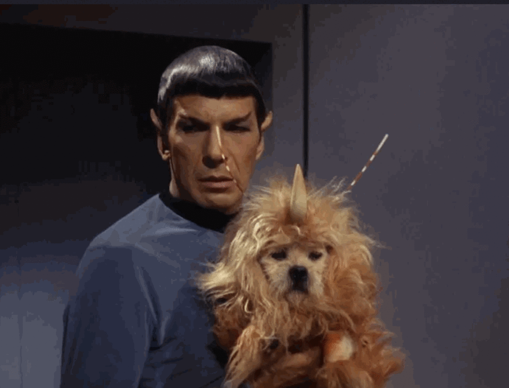 In the television series an extraterrestrial intelligent humanoid (Spock) holds a pet that looks similar to that of a dog. To the viewing audience, they are strange, yet familiar. This is the idea of what extraterrestrials look like from the lens of Hollywood.