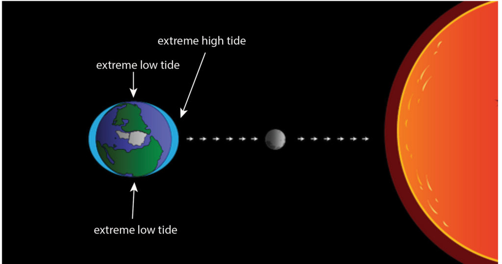 The influence of the sun and the moon in the generation of tides on earth.
