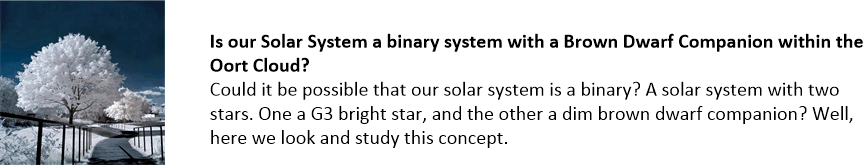 Does our sun have a binary companion.