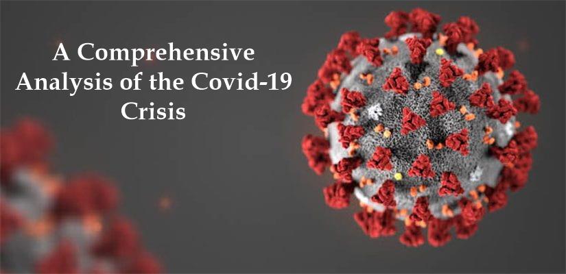 A link to the a comprehensive analysis of the COVID-19 crisis.