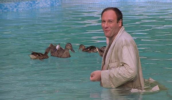Tony Soprano loved the ducks that would fly into his pool. He would watch them, and feed them bread and felt so proud when the baby ducklings started to fly.
