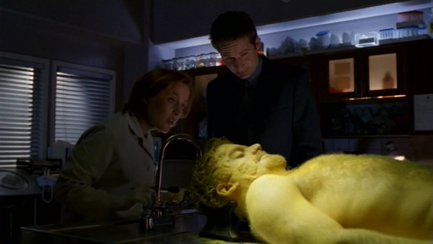 In the X-files episode titled "Je Souhaite". Skully could not believe that a man could actually become invisible. So she covers this invisible man with powder to see him.