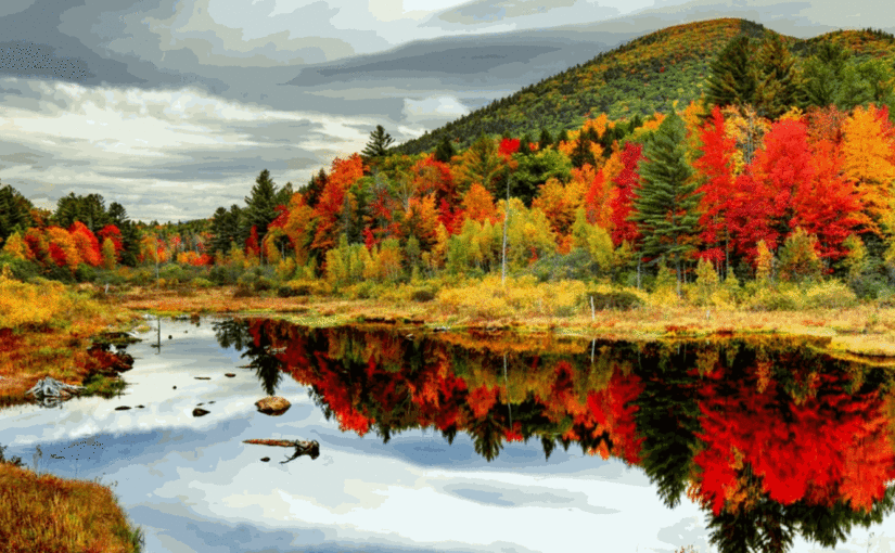 New England fall