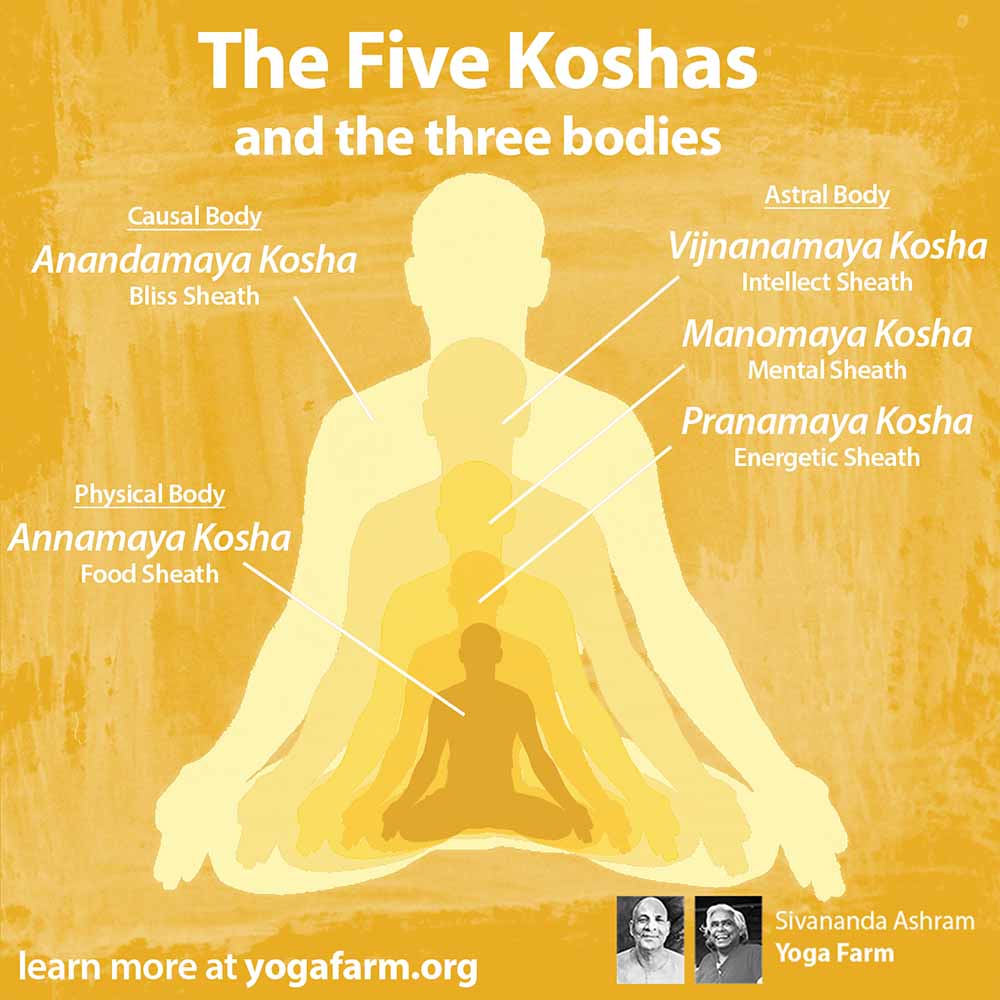 The five koshas.