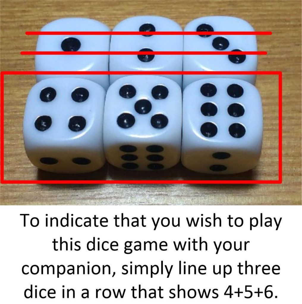 Five dice game.
