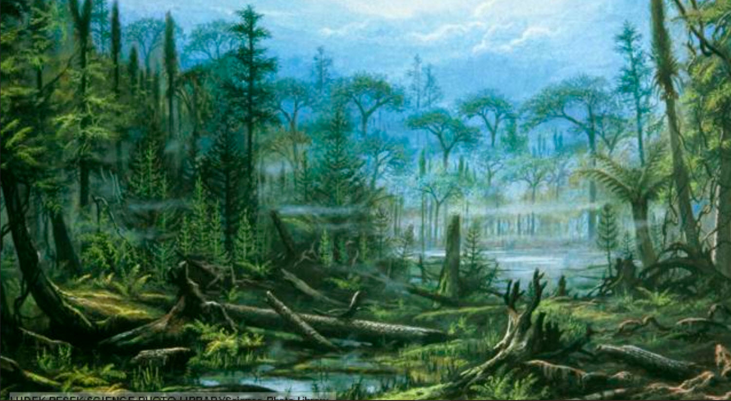 Триасовый период мезозойской эры Флора