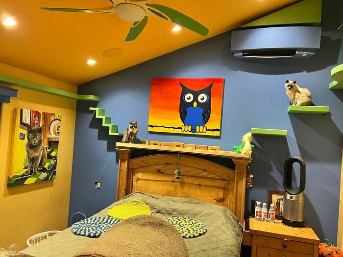 This Man Turned His Home into a Cats Paradise 620cedbd06c5b 700