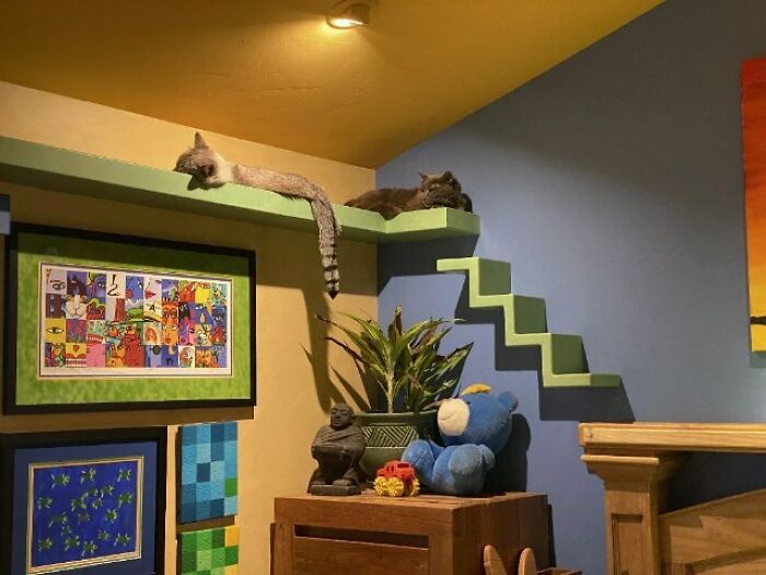 house of nekko man turned his house into a cats paradise 36cd1584 620c46247d3a5 jpeg 700