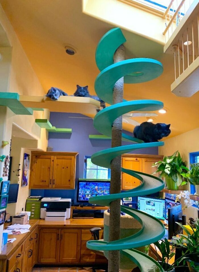 house of nekko man turned his house into a cats paradise c1dba629 620c463fdf1a4 jpeg 700