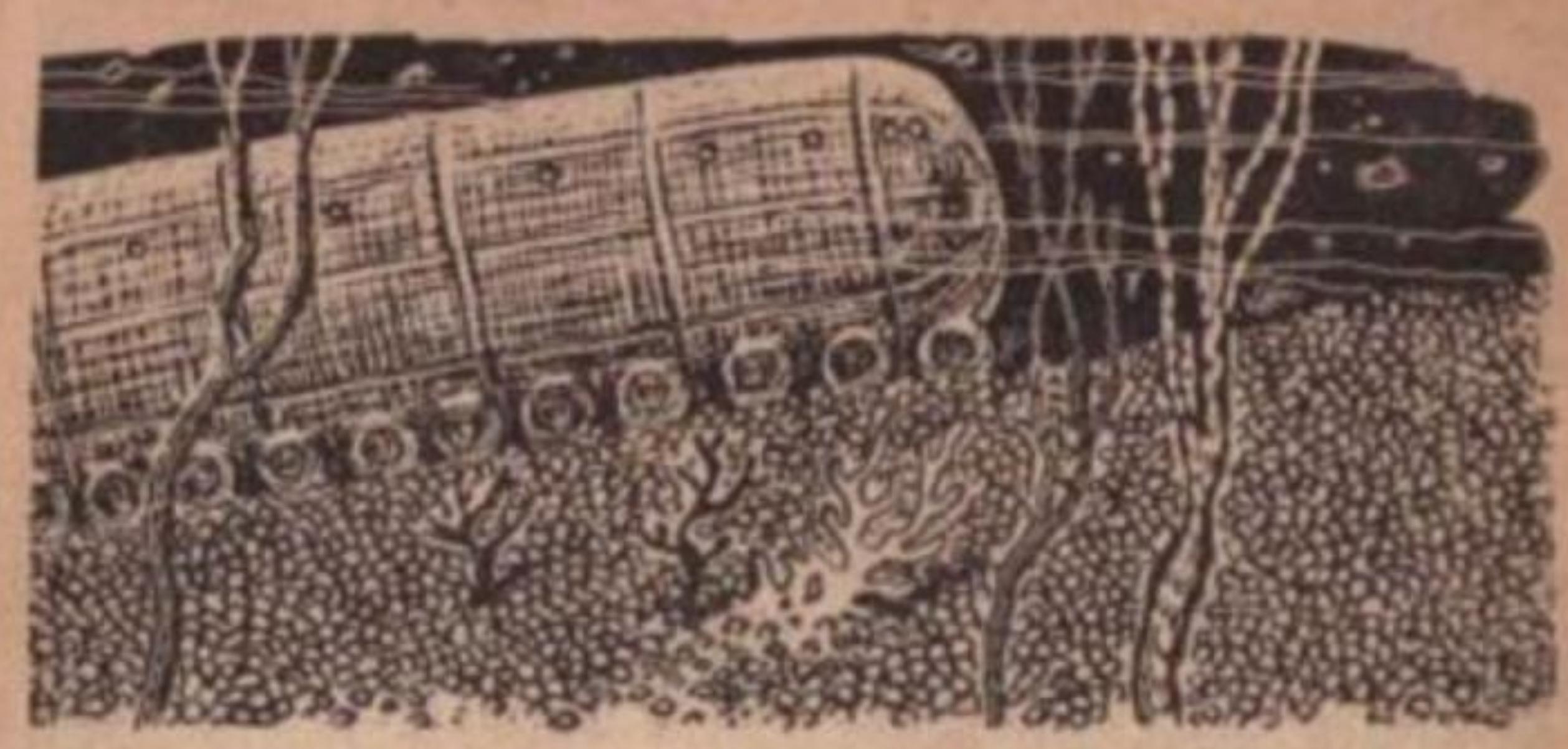 (Repost) Surface Tension by James Blish (Free full text)