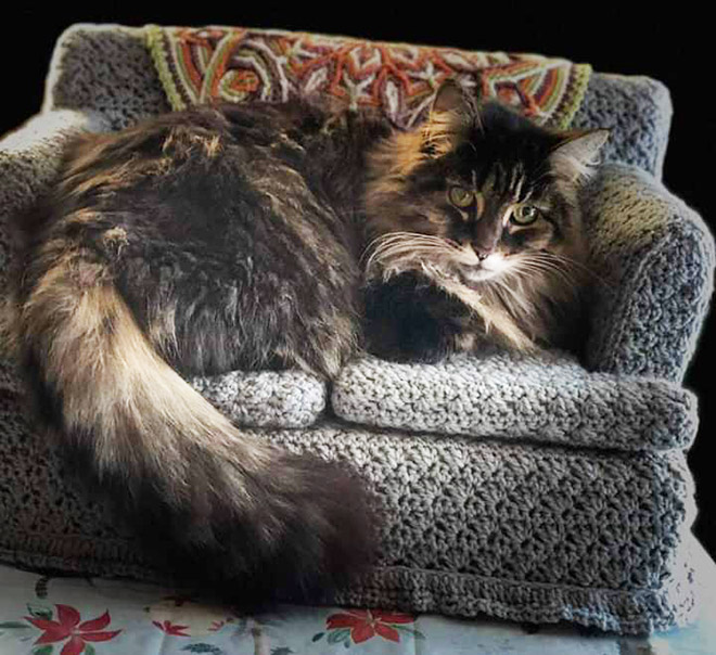 crocheted cat couches10