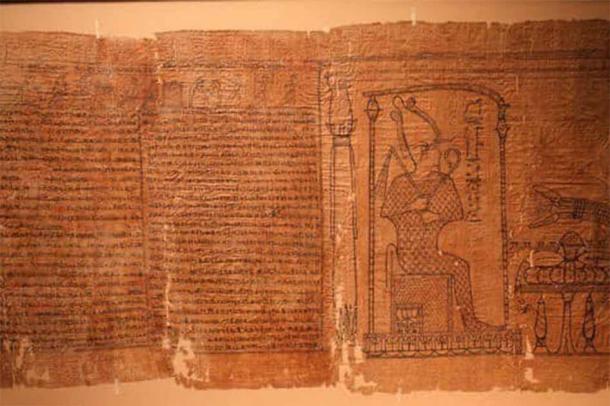 papyrus 3