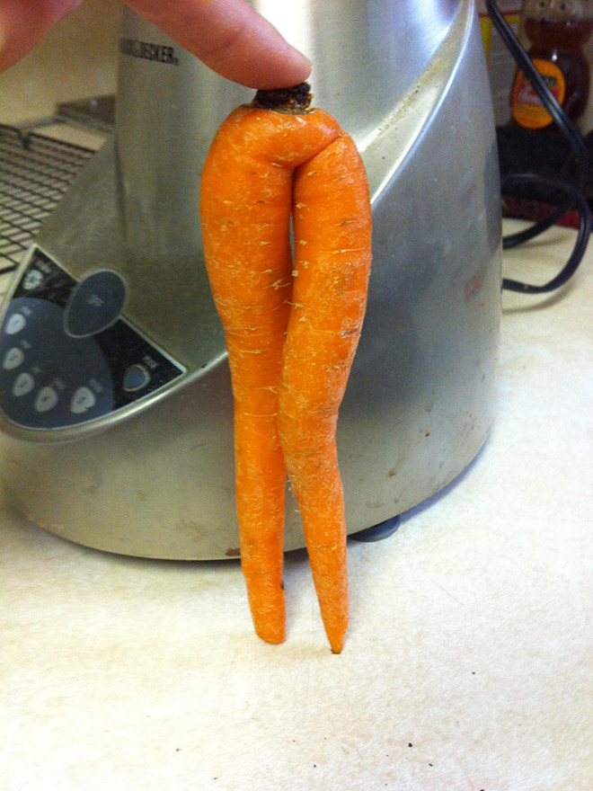 funny carrot1