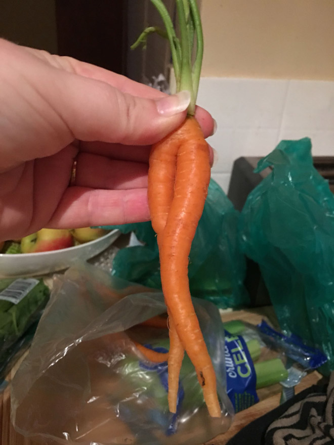 funny carrot10