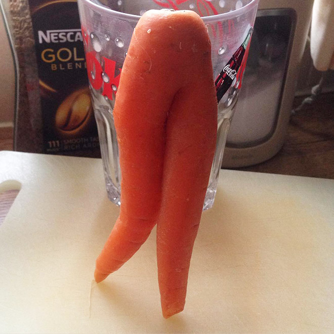 funny carrot11